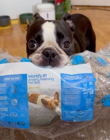 Alexia - 53 - Berlin